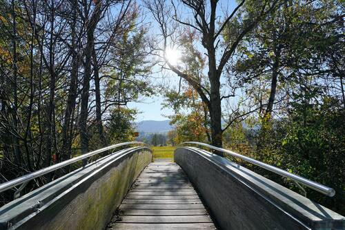 bridge, greifensee, zurich, canton, switzerland, water, nature, clouds, heaven, blue, lake, meditation, riverbank, white, beautiful, quiet, promenade, romance, swiss, outlook, rural, scenic, meadow, winter, fall, wintry, grass, landscape, pasture, sunlight, architecture, building, tree, spring, plant, green, sun, hike, vacations, vacation, excursion, path, road, maur, type, leaf, leaves, fern, easter, driveway, auferste position