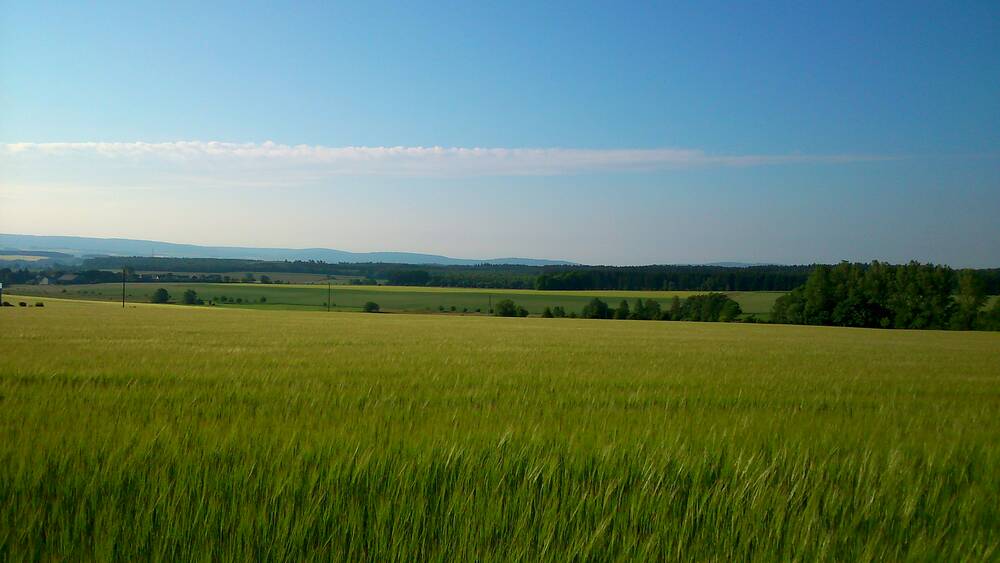 Auszeit im Hunsrück